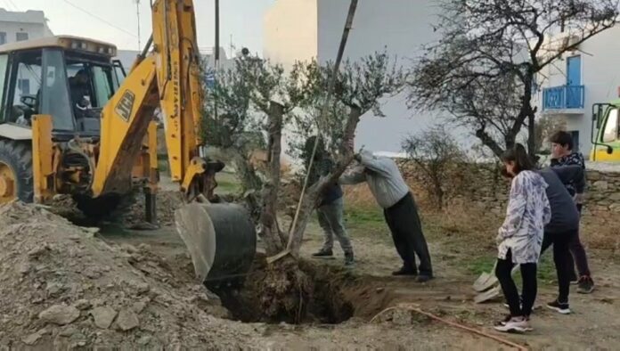 Σχοινούσα 